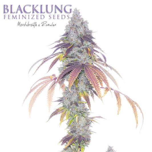 Romulan Genetics - Blacklung