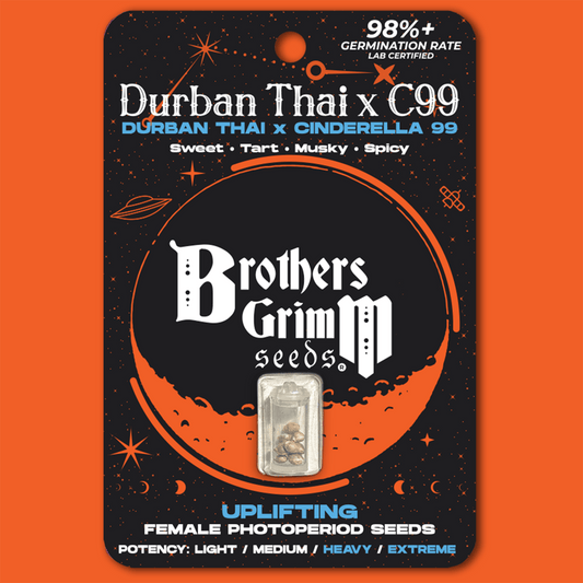 Brothers Grimm - Durban Thai x C 99