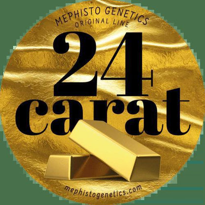 Mephisto - 24 Carat
