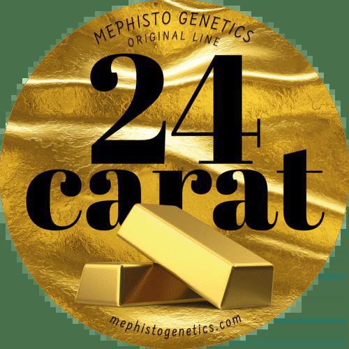 Mephisto - 24 Carat