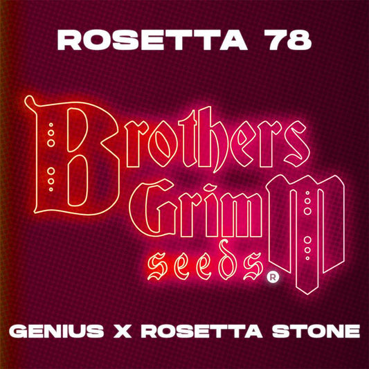 Brothers Grimm - Rosetta 78