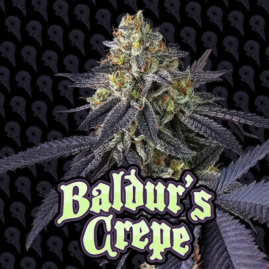 Dirty Bird -  Baldur's Crepe