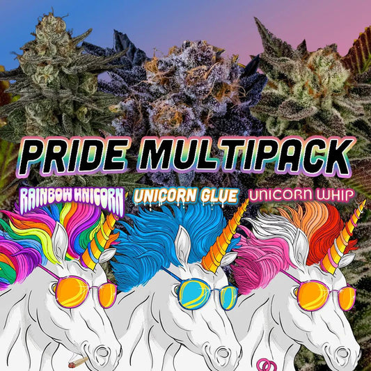 Dirty Bird -  Pride Multi pack