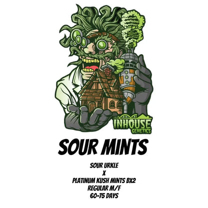 In House Genetics - Sour Mints
