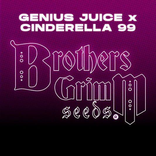 Brothers Grimm - Genius Juice X Cinderella 99
