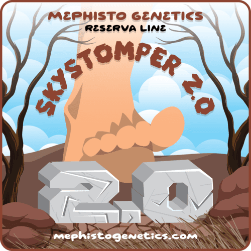 Mephisto - Skystomper 2.0