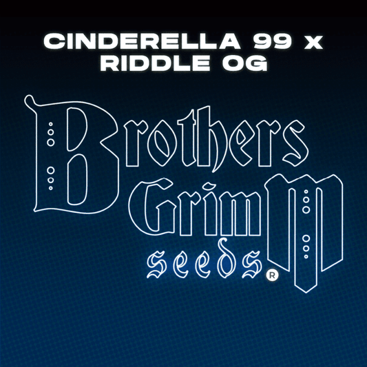 Brothers Grimm - Cinderella 99 x Riddle OG