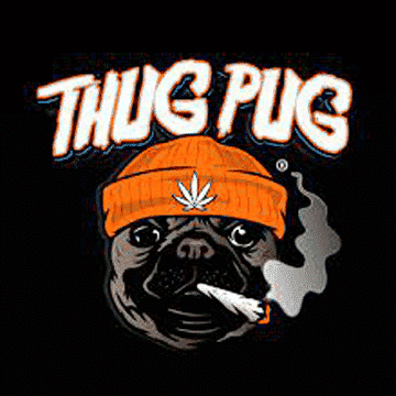 Thug Pug -  Sweaty