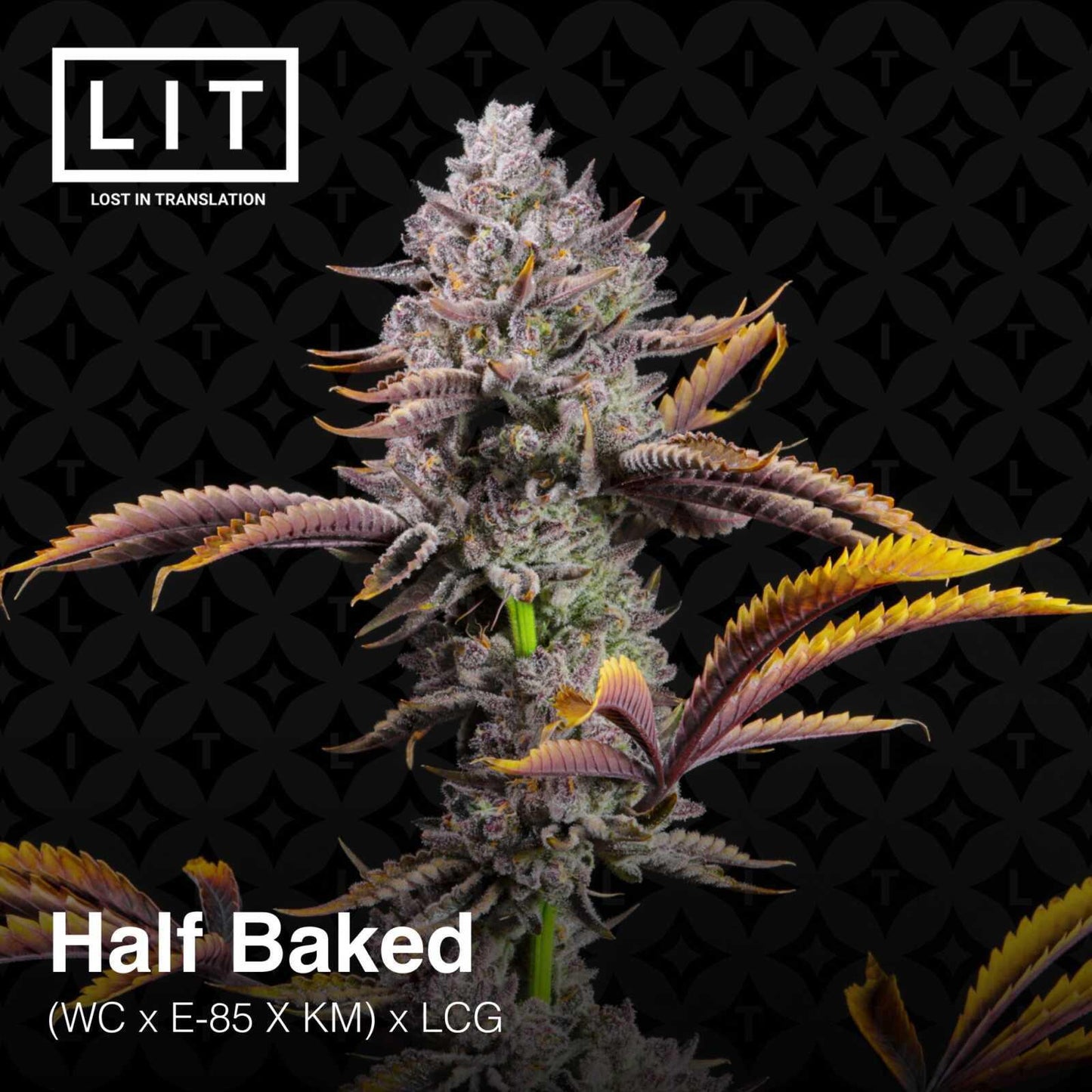 Lit Farms - Half Baked