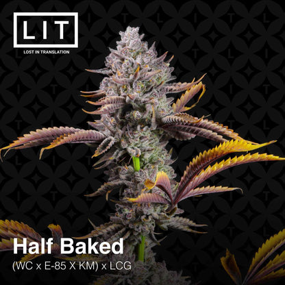 Lit Farms - Half Baked