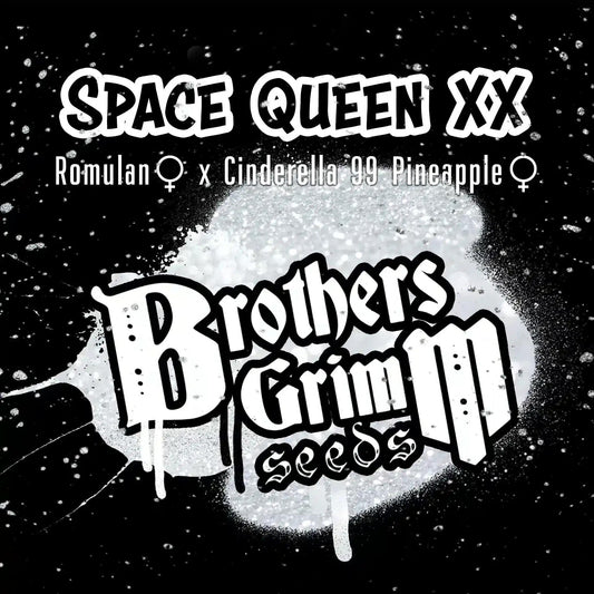 Brothers Grimm - Space Queen