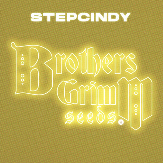 Brothers Grimm - Stepcindy