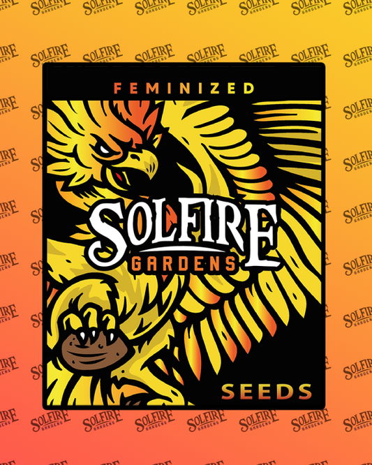sol fire - Woozy