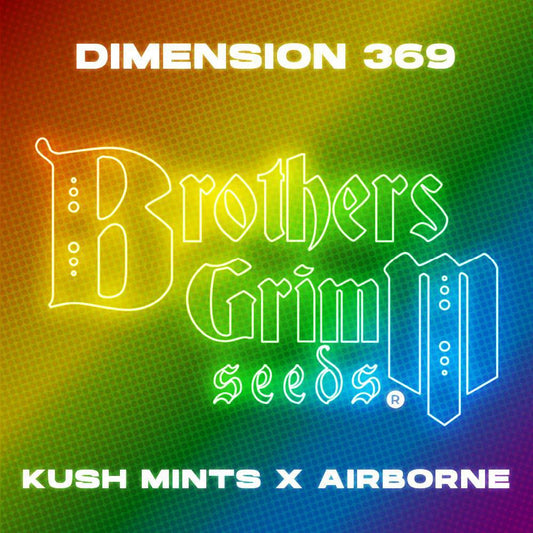 Brothers Grimm - Dimension 369
