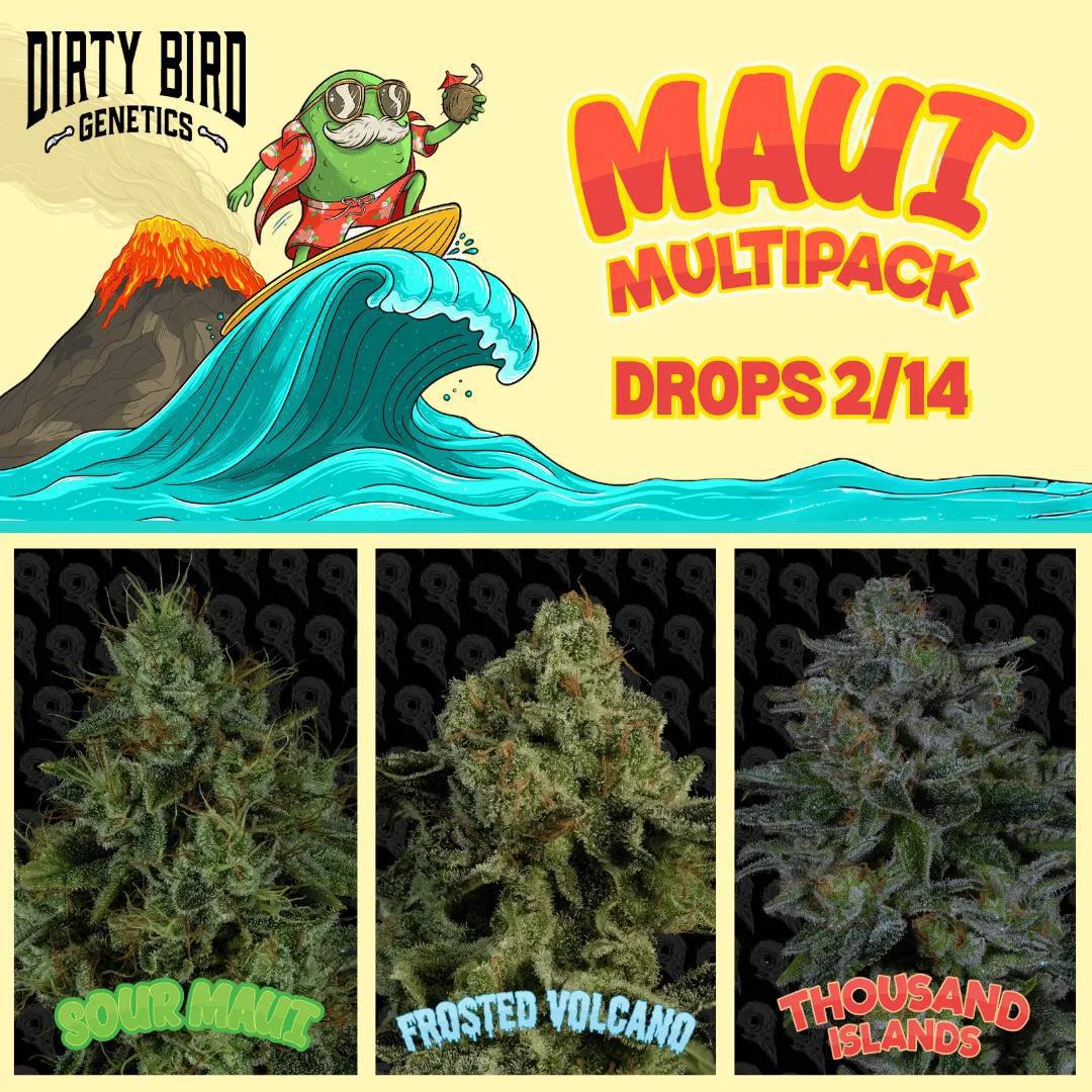 Dirty Bird - Maui Mutlipack