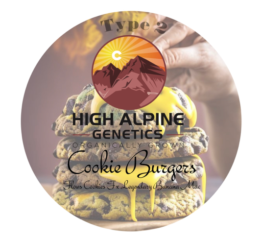 High Alpine Genetics - Cookie Burgers