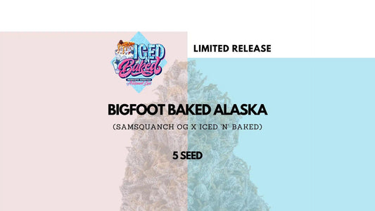 Mephisto - Bigfoot Baked Alaska