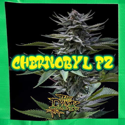 The Dank SubCool - Chernobyl