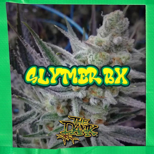 The Dank SubCool - Slymer BX