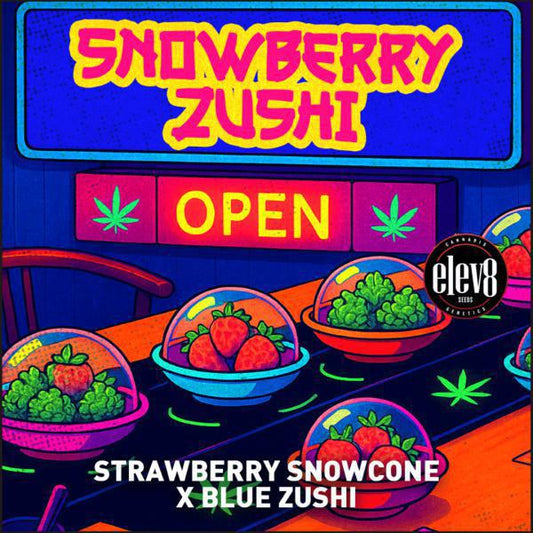 Elev8 - Snowberry Zushi