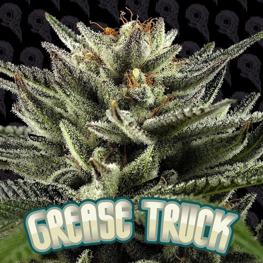 Dirty Bird -  Grease Truck