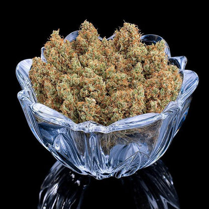 Brothers Grimm - Durban Thai x C 99