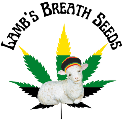 Lamb's Breath Seeds - Legend