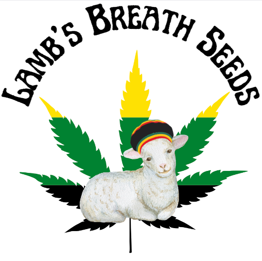 Lamb's Breath Seeds - Legend