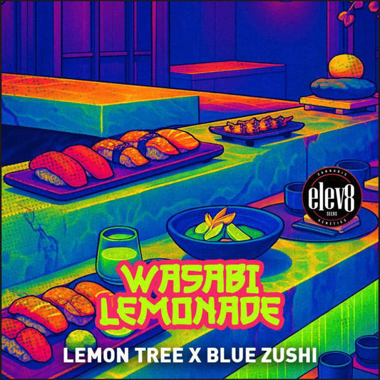 Elev8 - Wasabi Lemonade