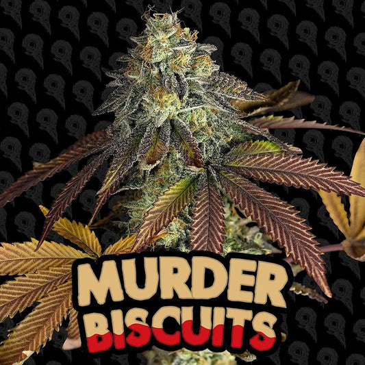 Dirty Bird - Murder Biscuits