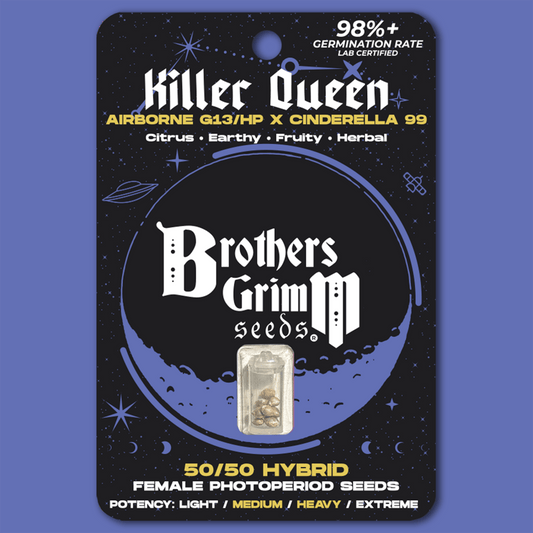 Brothers Grimm - Killer Queen