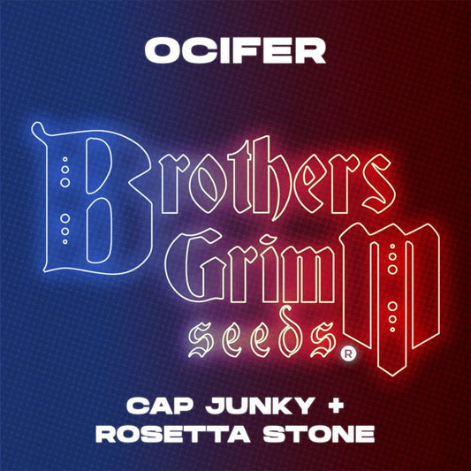 Brothers Grimm - Ocifer