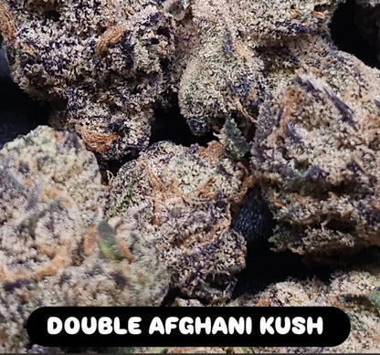 In House Genetics - Double Afghani Kush