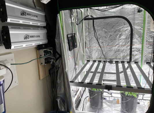 Mammoth Lighting - 15 Foot Extension Cord for NOVA SERIES