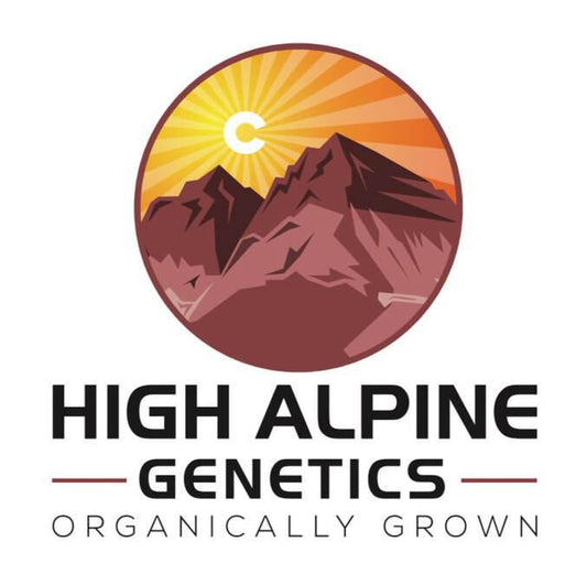 High Alpine Genetics - Skunk Burgers
