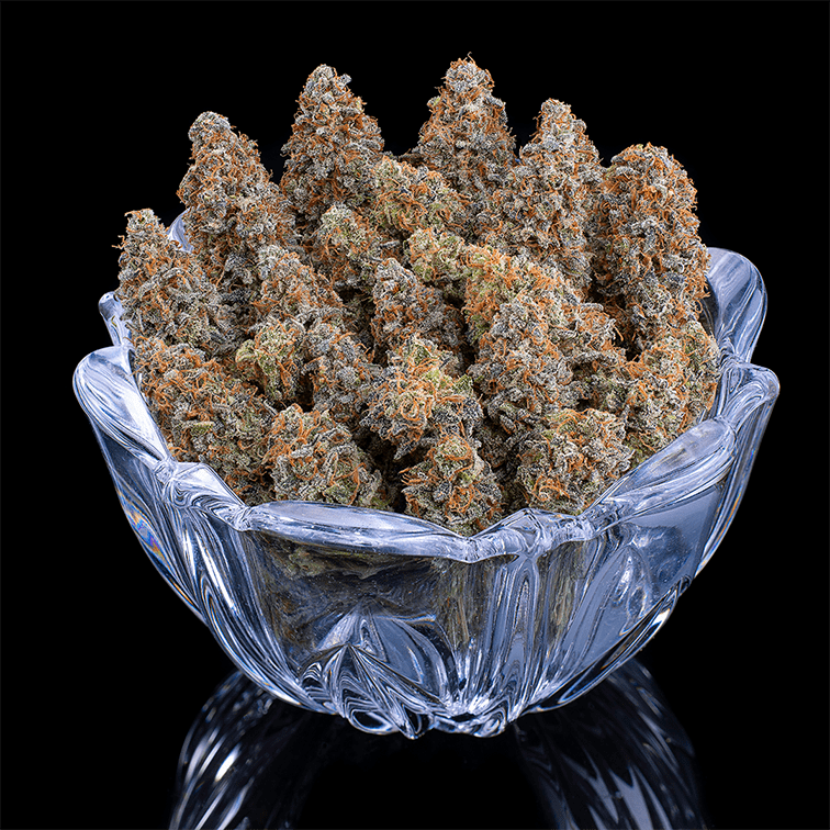 Brothers Grimm - G13 Genius