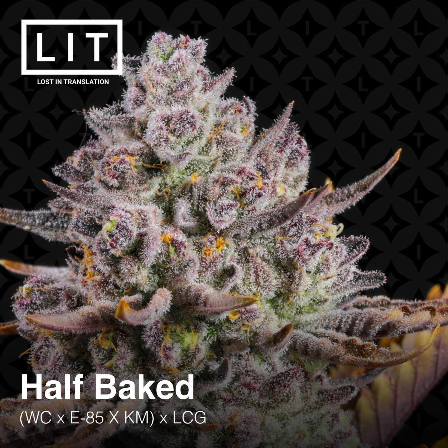Lit Farms - Half Baked