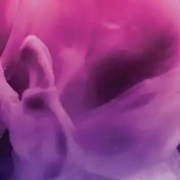 Ethos - Lilac diesel multi pack Reg
