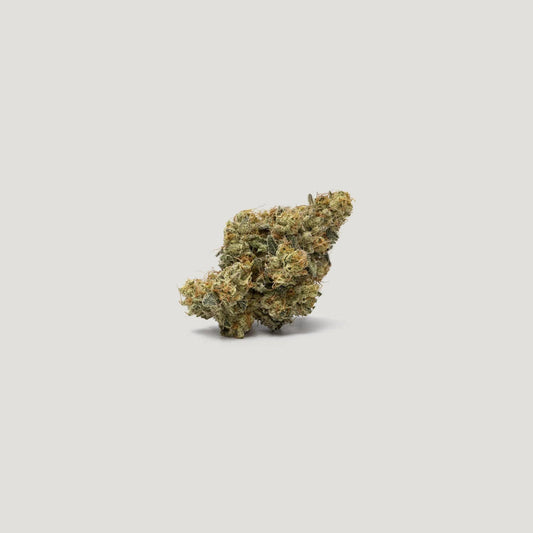 Purple City Genetics - Skyline OG