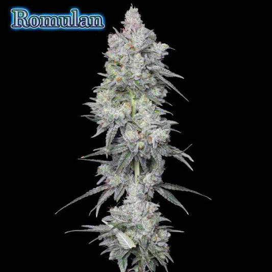Romulan Genetics - Romulan BX1