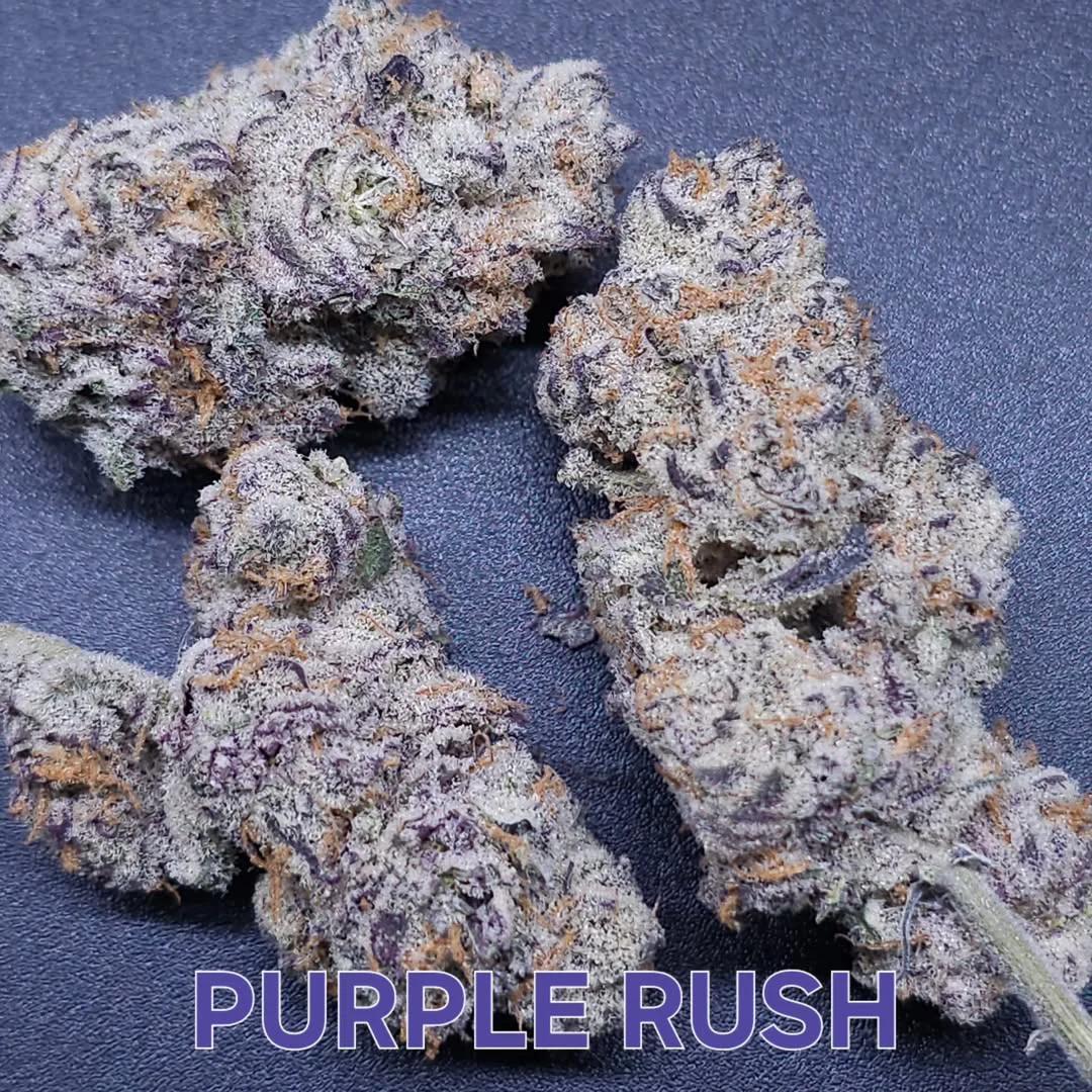 In House Genetics - Electracane