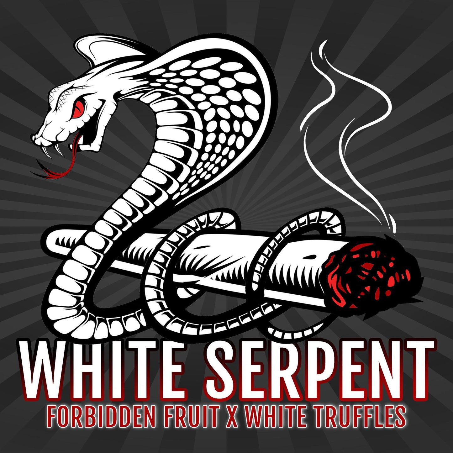 Elev8 - White Serpent