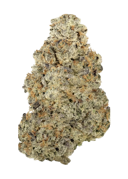 Purple City Genetics -  Cel-Ray