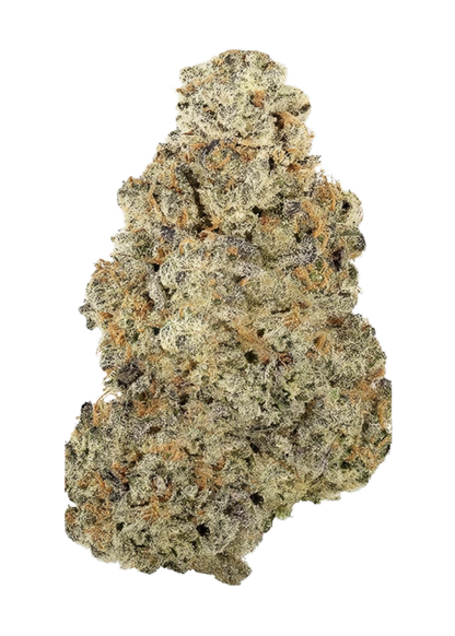 Purple City Genetics -  Cel-Ray