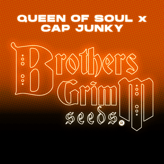 Brothers Grimm - Queen of Soul x Cap Junky