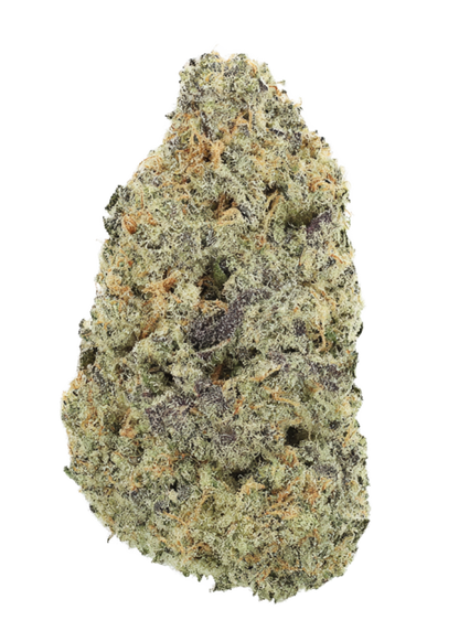 Purple City Genetics - Watermelon Dream
