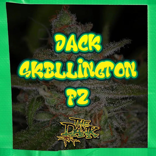 The Dank SubCool - Jack Skelli