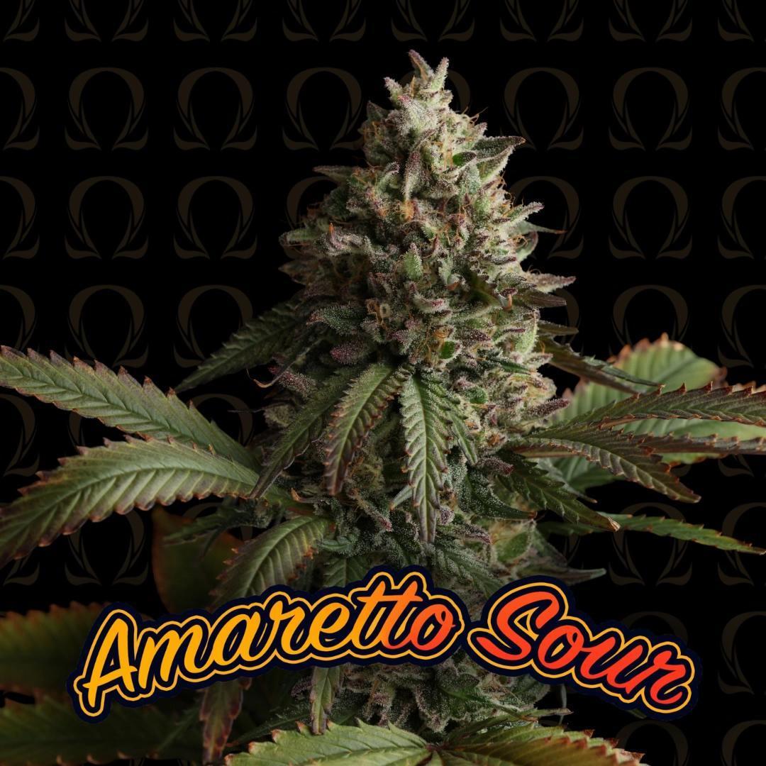 Dirty Bird - Amaretto Sour