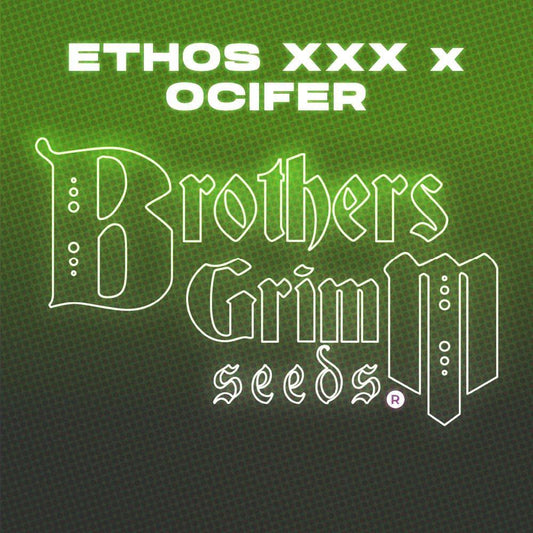 Brothers Grimm - Ethos XXX x Ocifer