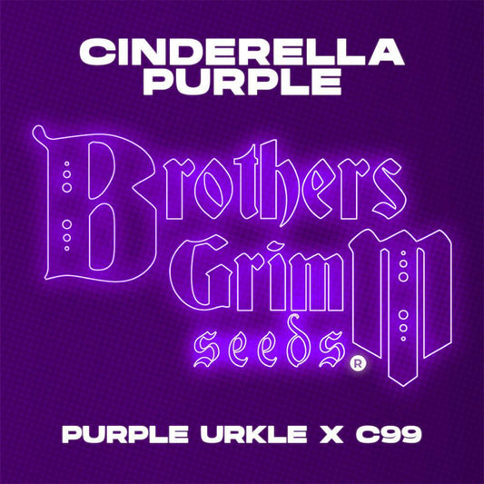 Brothers Grimm - Cinderella Purple